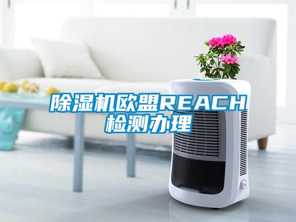 91看片网站视频機歐盟REACH檢測辦理