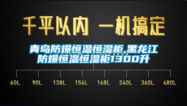 青島防爆恒溫恒濕櫃,黑龍江防爆恒溫恒濕櫃1300升