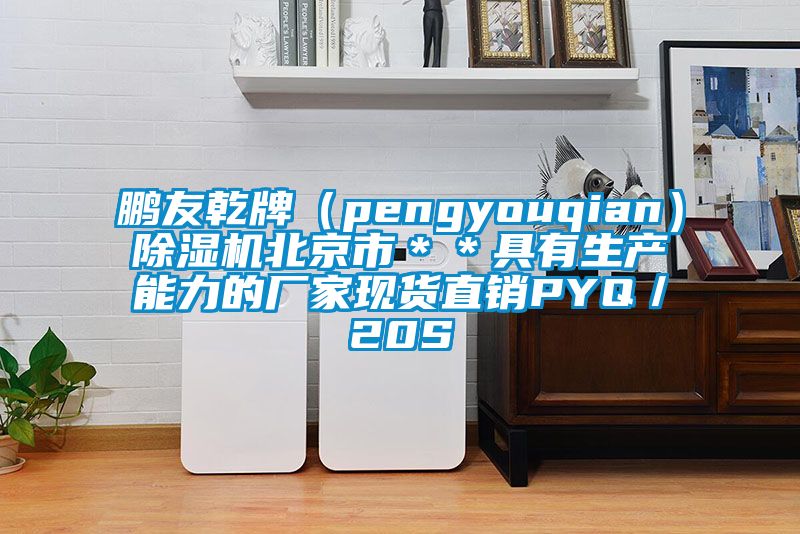 鵬友乾牌（pengyouqian）91看片网站视频機北京市＊＊具有生產能力的廠家現貨直銷PYQ／20S