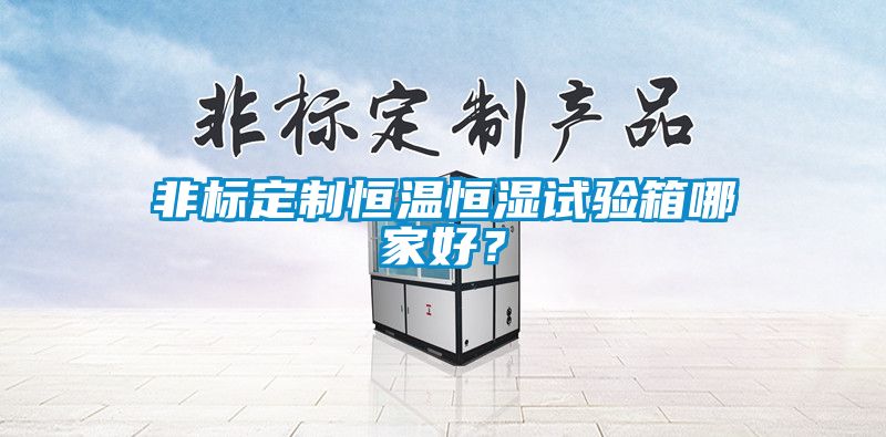 非標定製恒溫恒濕試驗箱哪家好？