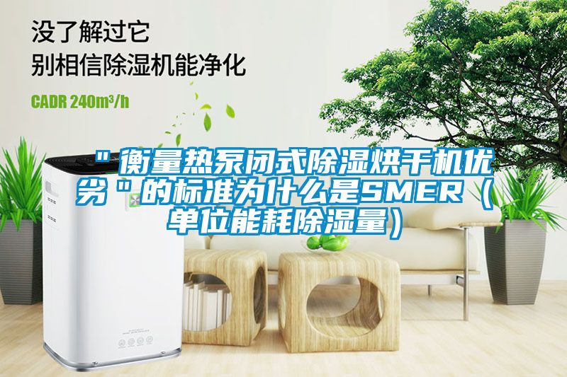 ＂衡量熱泵閉式91看片网站视频烘幹機優劣＂的標準為什麽是SMER（單位能耗91看片网站视频量）